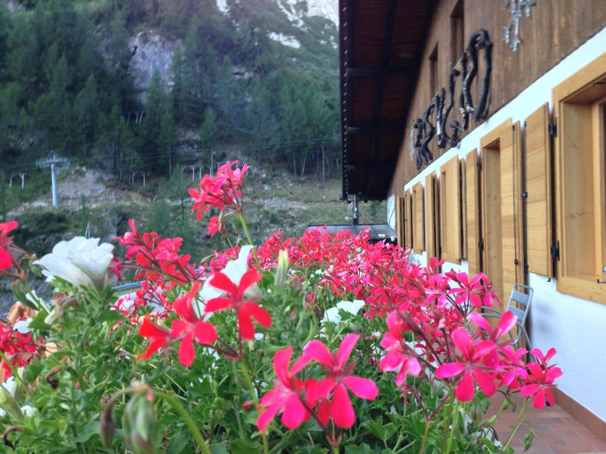 Rifugio Capanna Bill Hotel Rocca Pietore Ngoại thất bức ảnh